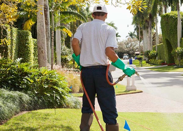 About Point Mugu Nawc CA Pest Control